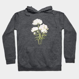 white sweet William  ink and watercolor painting Hoodie